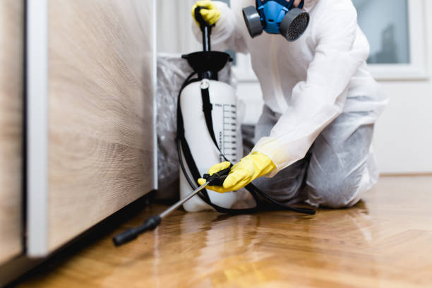 Best Pest Prevention Services  in Beverly, MA