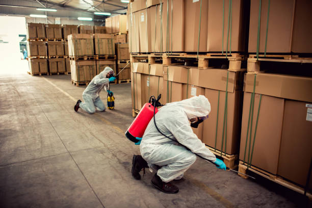 Best Exterminator Services  in Beverly, MA