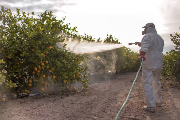 Best Pest Inspection Near Me  in Beverly, MA