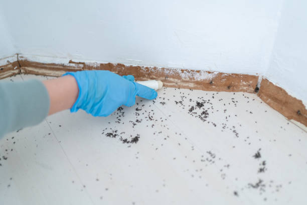 Best Best Pest Control Companies  in Beverly, MA